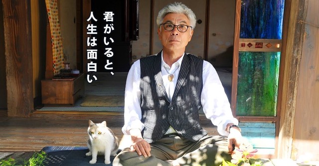 先生と迷い猫