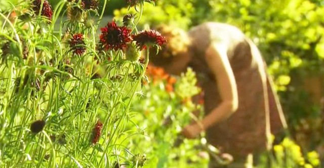 The Edible Garden