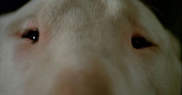 Baxter