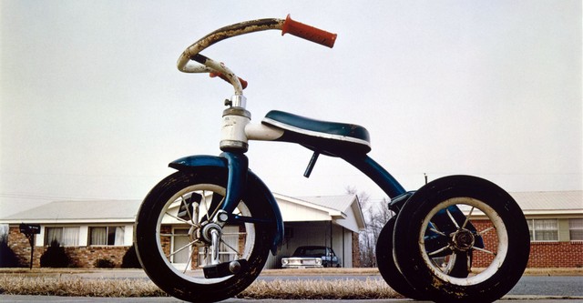 Amazon.com: William Eggleston In the Real World : William J