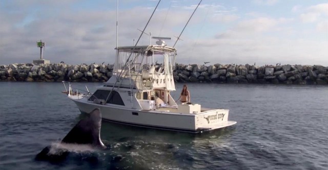 Супер-акула