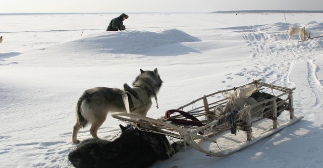 Happy People: A Year in the Taiga