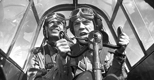 A Diving Bomber Chronicle