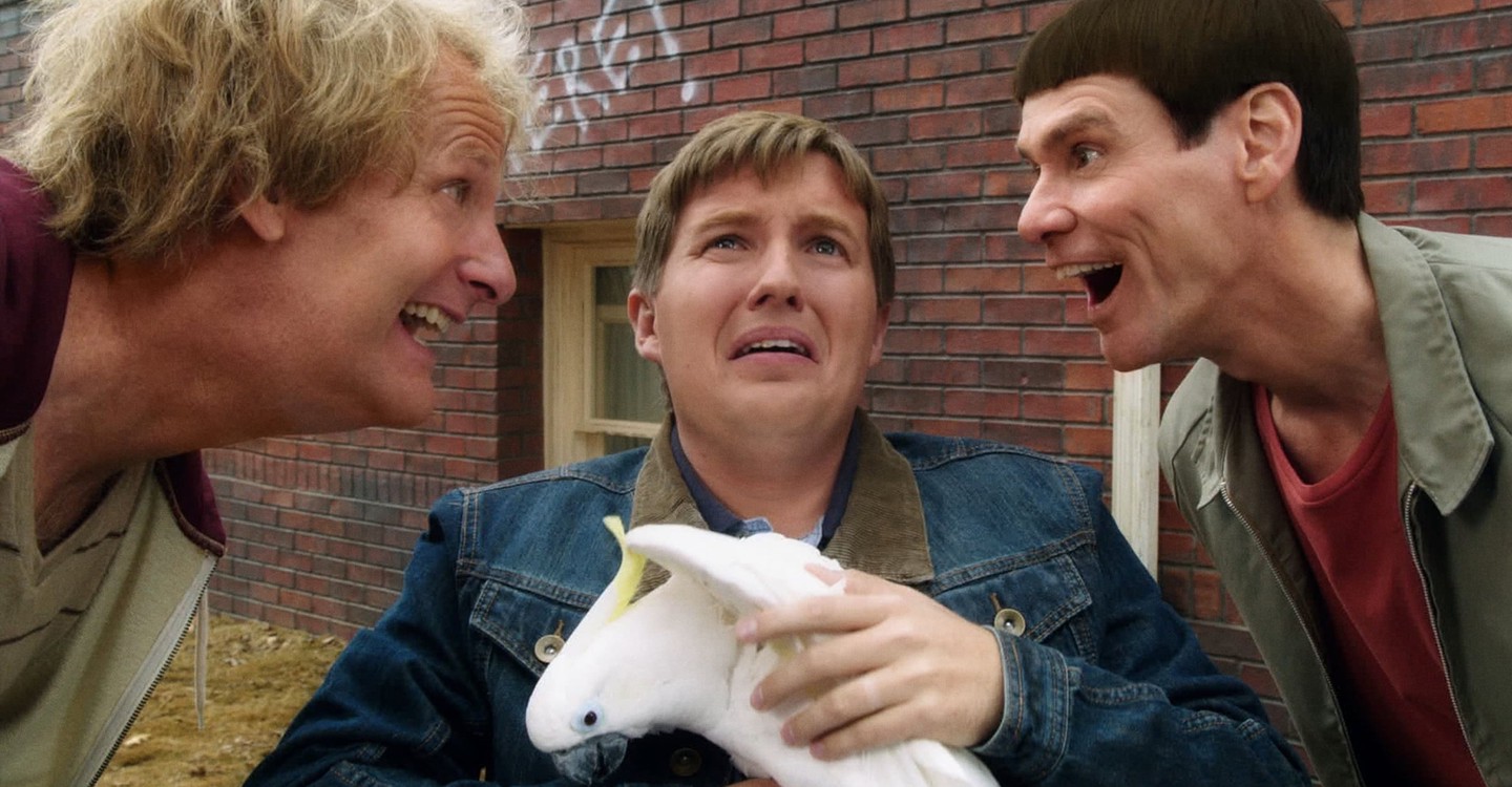 Dumb and Dumber To streaming: where to watch online?
