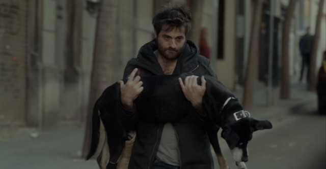 El camino más largo para volver a casa