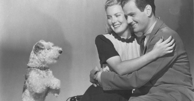 Marry the Boss's Daughter