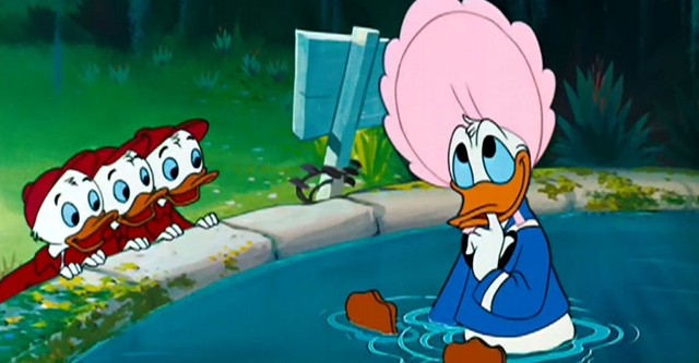 Donalds Jungbrunnen