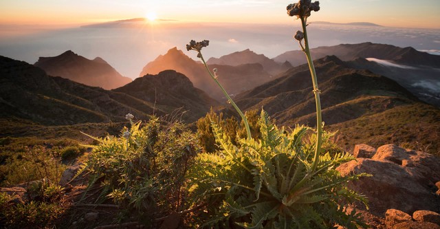 Les îles Canaries