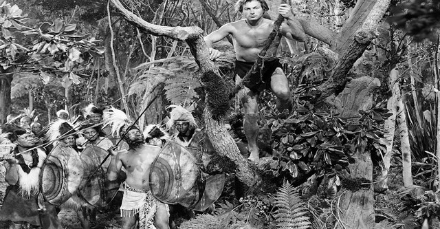 Tarzan e a Fúria Selvagem