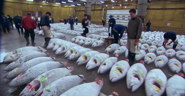 Sushi: The Global Catch