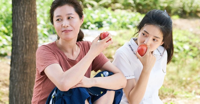 リトル・フォレスト 春夏秋冬