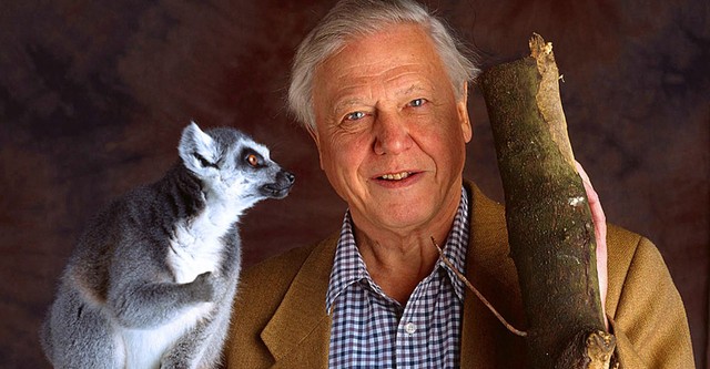 BBC The Life of Mammals hosted by David Attenborough 4-disc