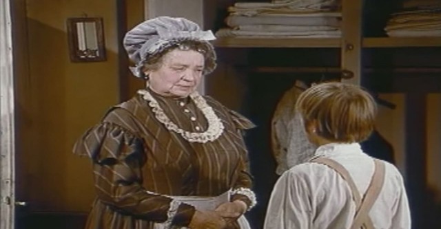 Tom Sawyers Abenteuer