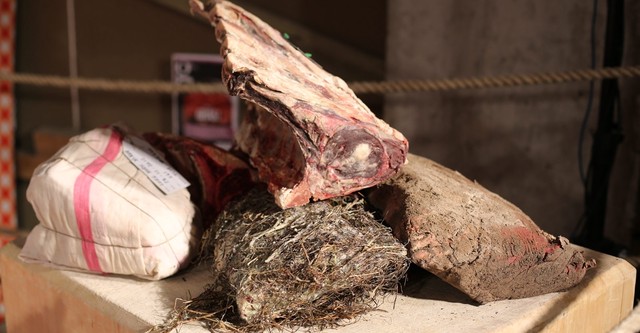 (R)evolução da carne