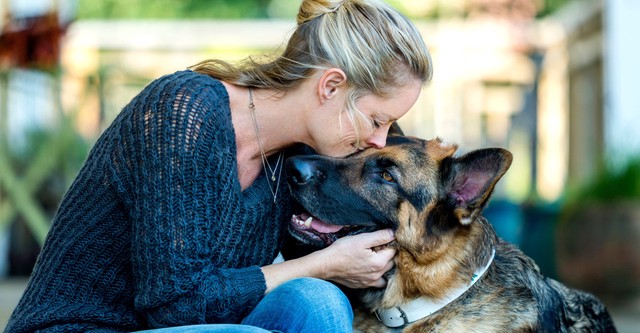 Al final te encontraré