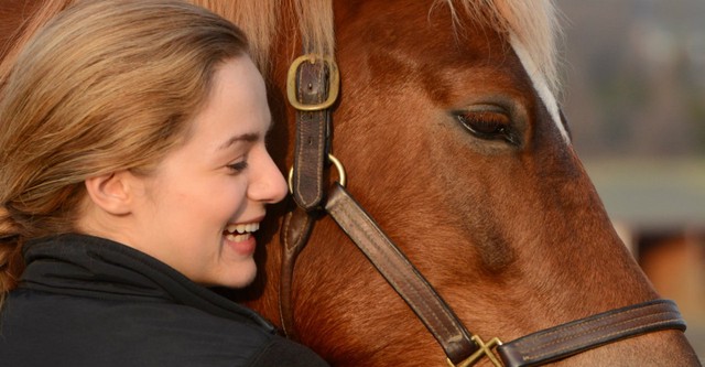 Ein Pferd für Lizzy - Mein Freund fürs Leben