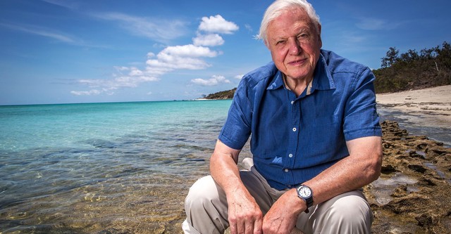 Wielka Rafa Koralowa z  Davidem  Attenborough