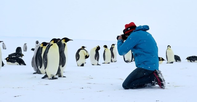 Antarctica, sur les traces de l'empereur