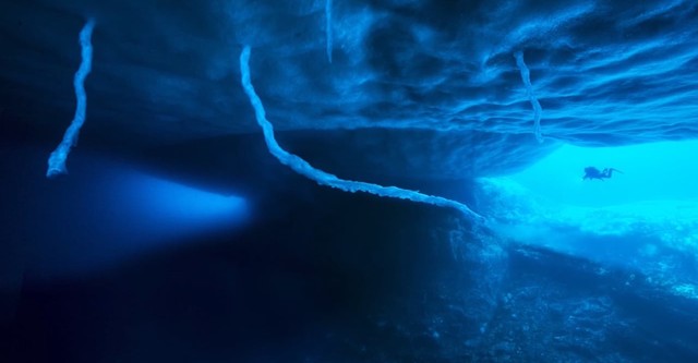 Antarktis - Die Reise der Pinguine