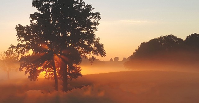 Les Ombres du cœur