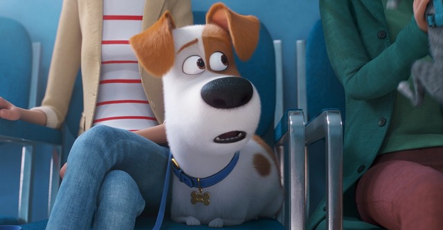 Mascotas 2 - película: Ver online completas en español