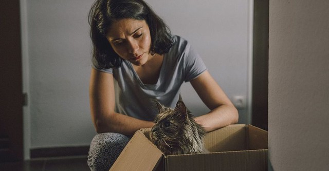 L'amour à rebours