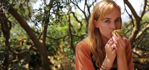 I 5 migliori film di Luca Guadagnino e dove vederli in streaming