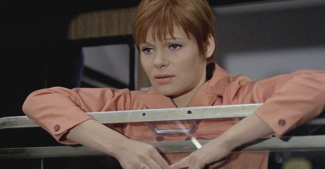 The Girl and the Viscount