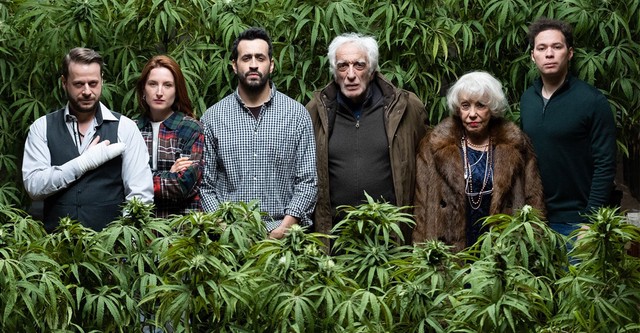 패밀리 비즈니스