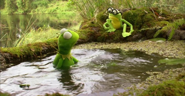 Kermit der Frosch