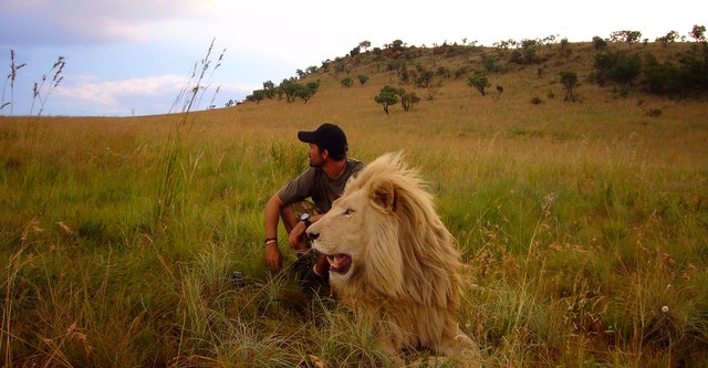 Afryka - wyprawa na safari