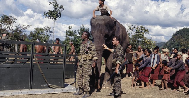 Operación Elefante