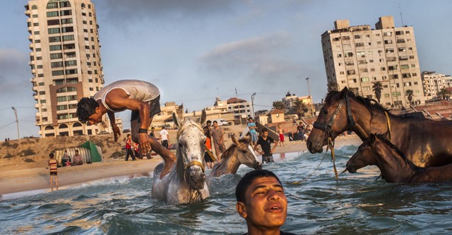 Gaza - Leben an der Grenze