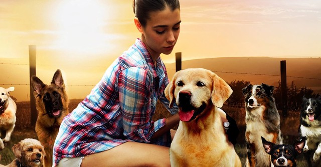 The Dog Lover