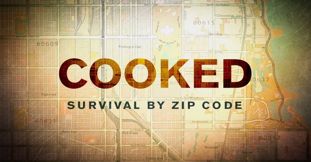 Cooked: Survival by Zip Code