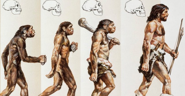 Geheimnisse der Evolution