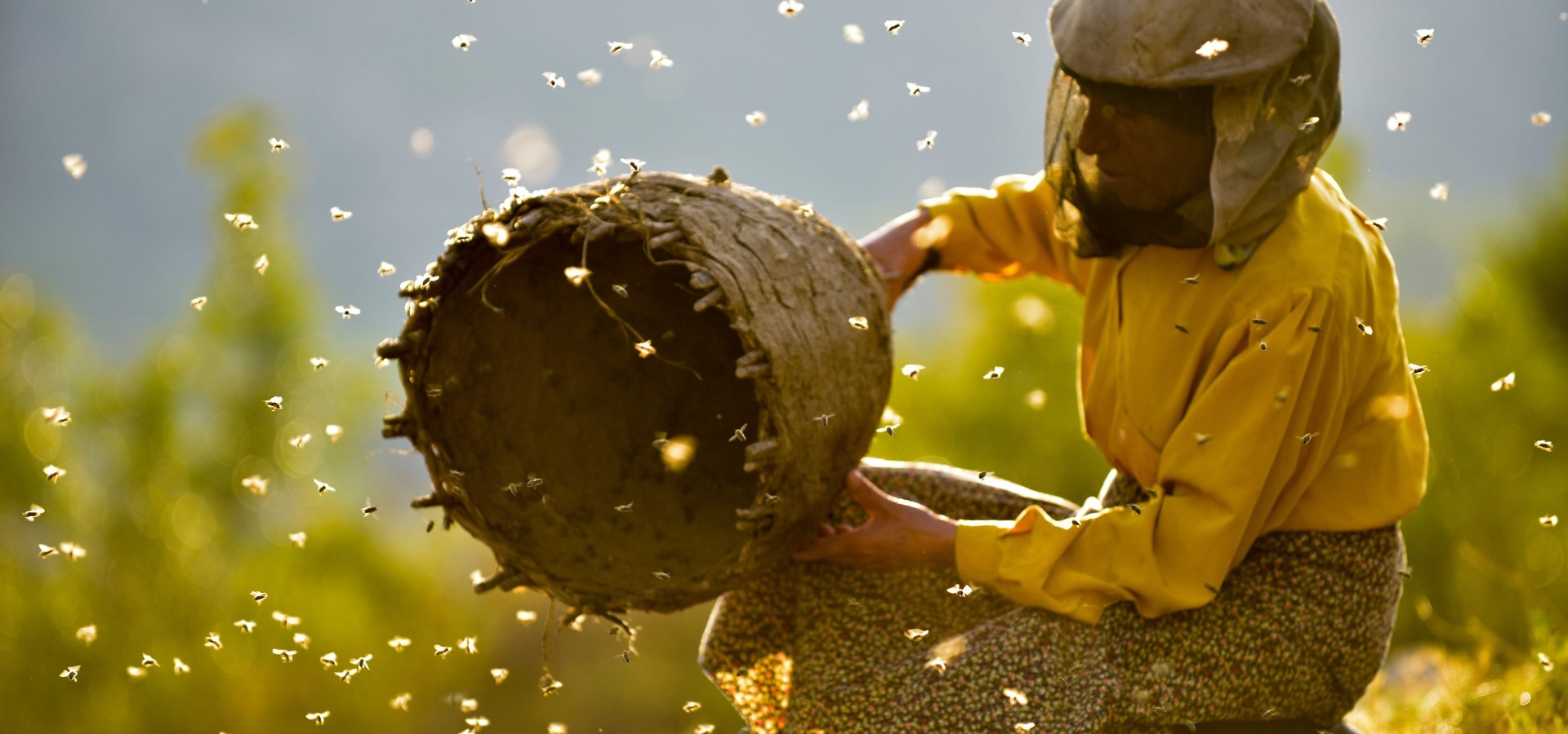 Honeyland Streaming Where To Watch Movie Online