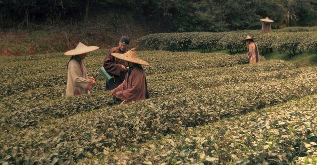 Die Abenteuer des Robert Fortune - Wie ein Mann den Chinesen ihren Tee klaute