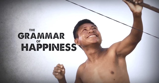 The Grammar of Happiness