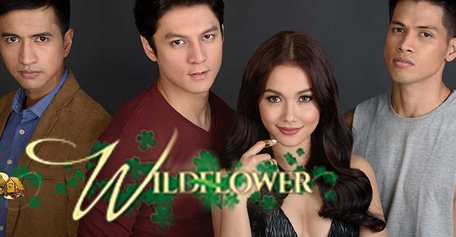 Wildflower outlet full episodes