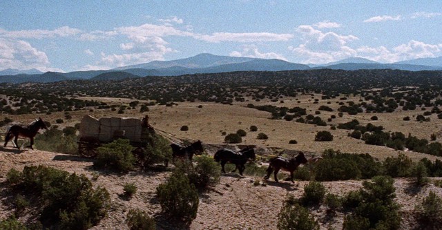 El hombre de Laramie