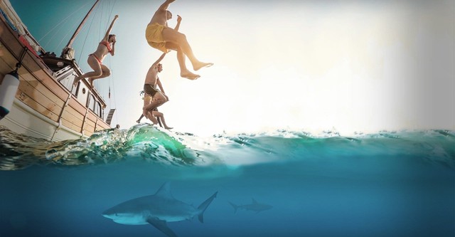 Wenn Tiere angreifen