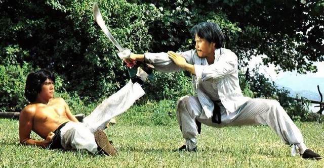 Wang : L'Aigle de Shaolin