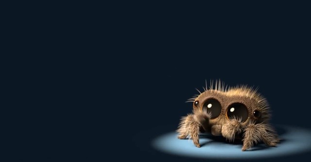 Lucas the Spider