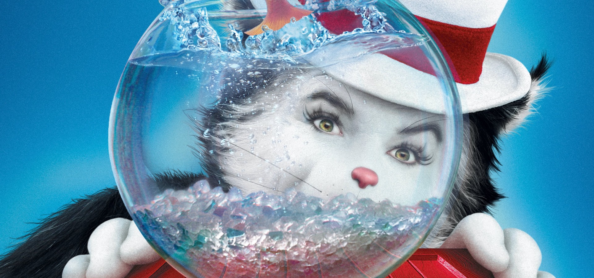 تنازل نباتي المربي Il Gatto E Il Cappello Matto Trailer Thereev Com