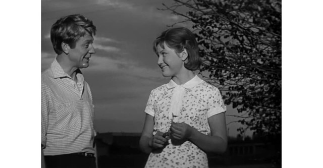 Not Under the Jurisdiction