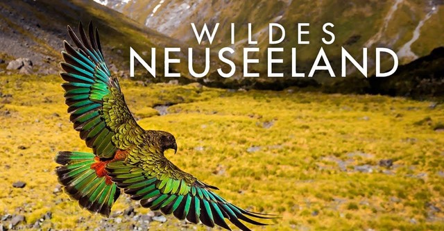 Wildes Neuseeland