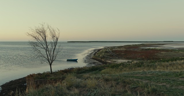 En terre de Crimée