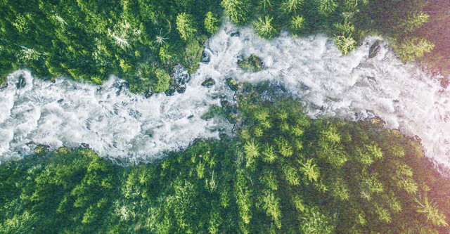 La rivière sans retour