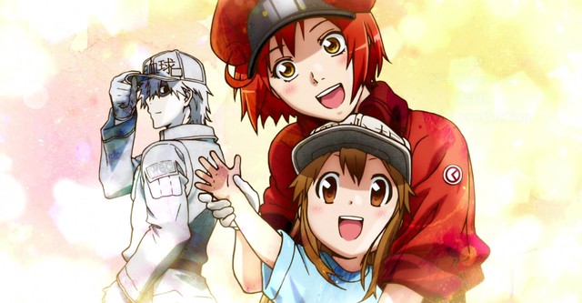 Cells at Work! Episode 1: Anime is in the Blood